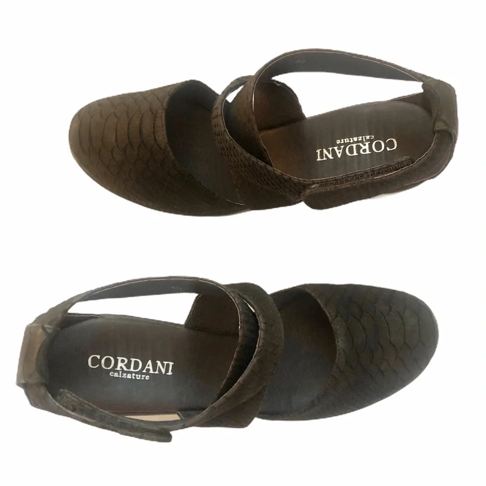 NEW Cordani Brown Snakeskin Leather Wedges  40